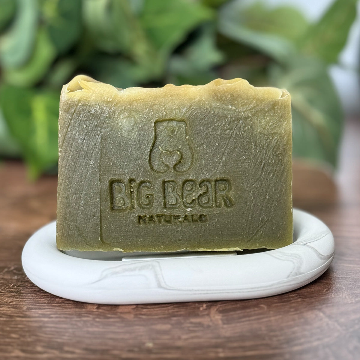 Eucalyptus Aloe Vera Soap